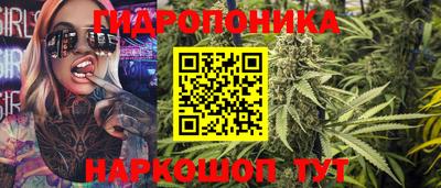 спайс Берёзовский