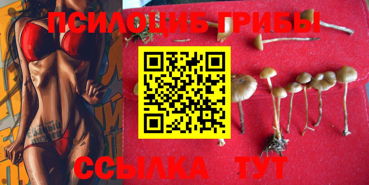 Галлюциногенные грибы мицелий  Вход с VPN  Бузулук 