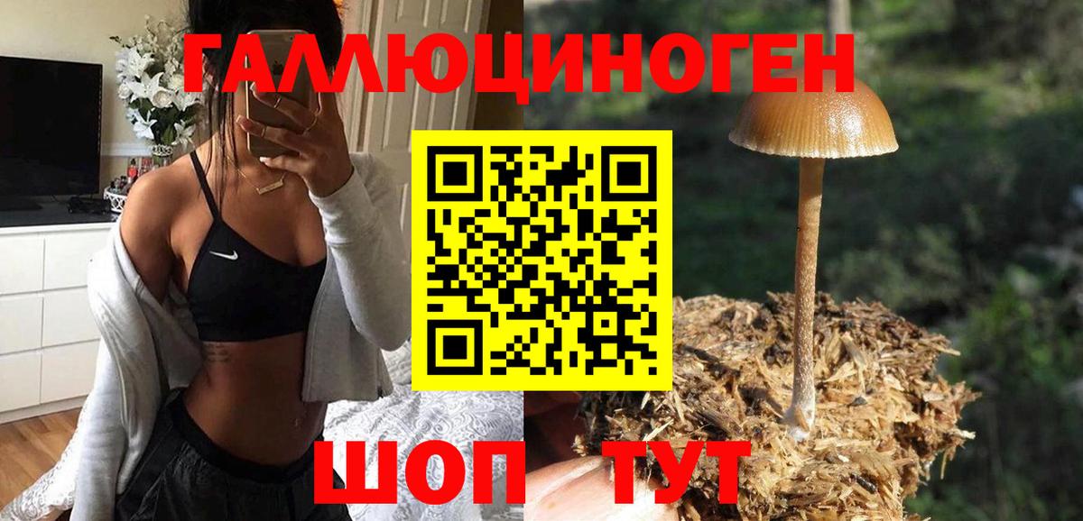 Псилоцибиновые грибы MAGIC MUSHROOMS  Псилоцибиновые грибы MAGIC MUSHROOMS  Бузулук 