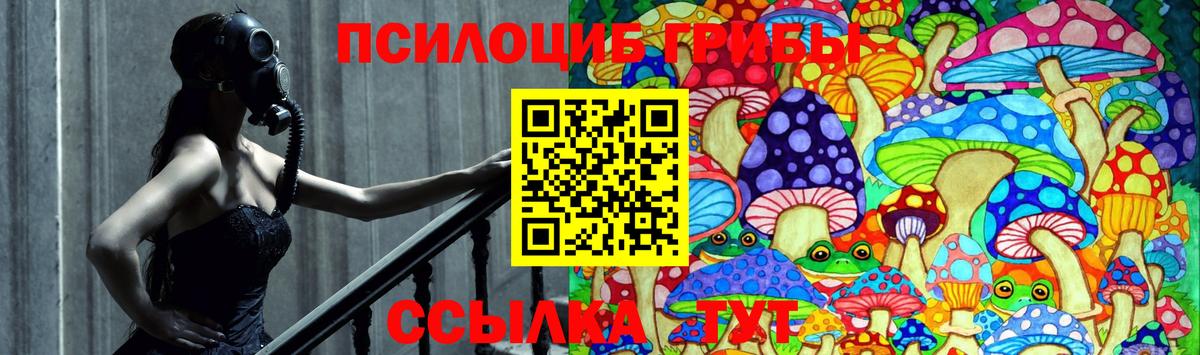 Псилоцибиновые грибы Psilocybe  Бузулук  Псилоцибиновые грибы мицелий 