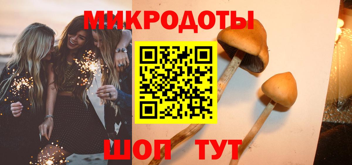 Псилоцибиновые грибы Psilocybine cubensis Бузулук